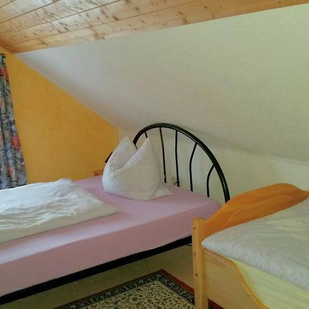 Ferienhaus Riedl Klingenthal Extérieur photo