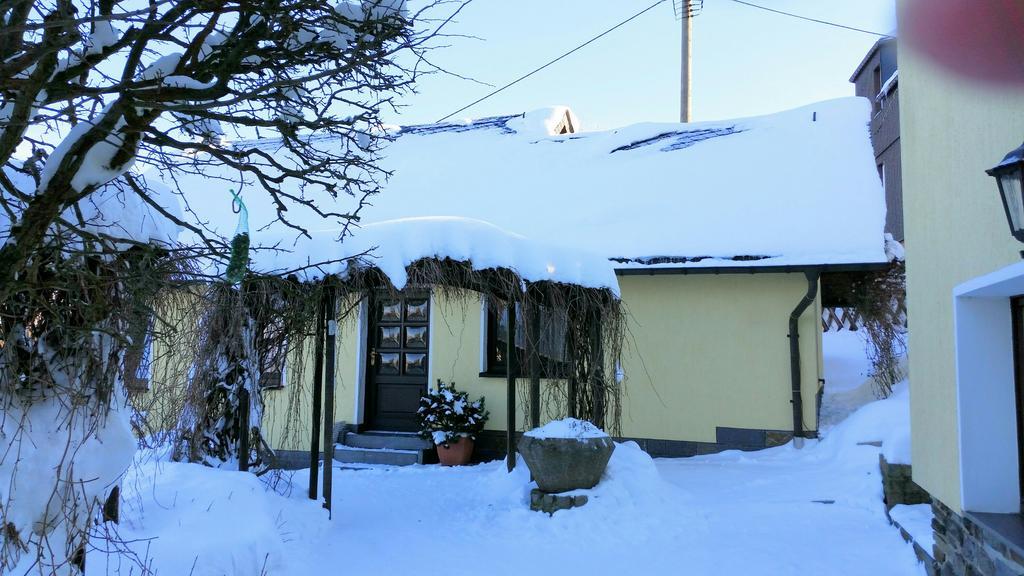 Ferienhaus Riedl Klingenthal Extérieur photo